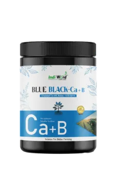 BLUE BLACK CA+B
