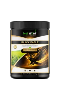 BLACK EAGLE