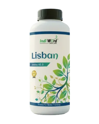 LISBAN