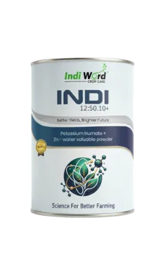 INDI 12:50.10+