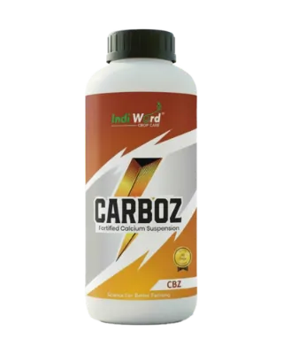 CARBOZ