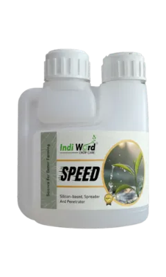 SPEED